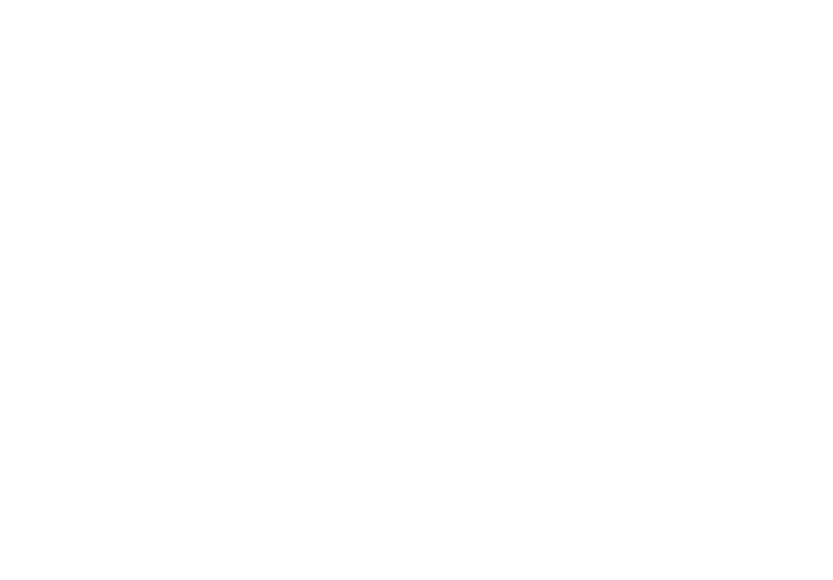 perplexity pro